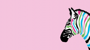 One stripe at a time: raising awareness of rare diseases in Latin America