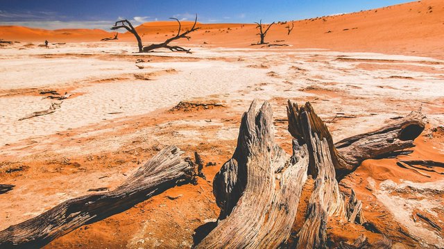 Nature’s decline could bankrupt the global economy  
